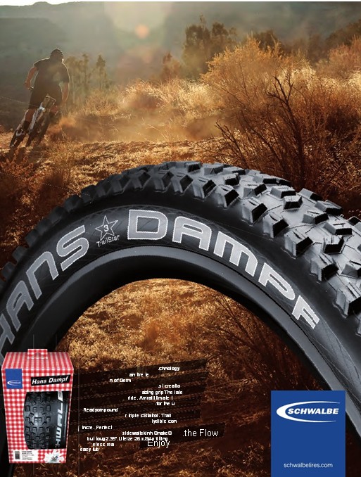 Schwalbe Hans Dampf Schwalbe Hans Dampf